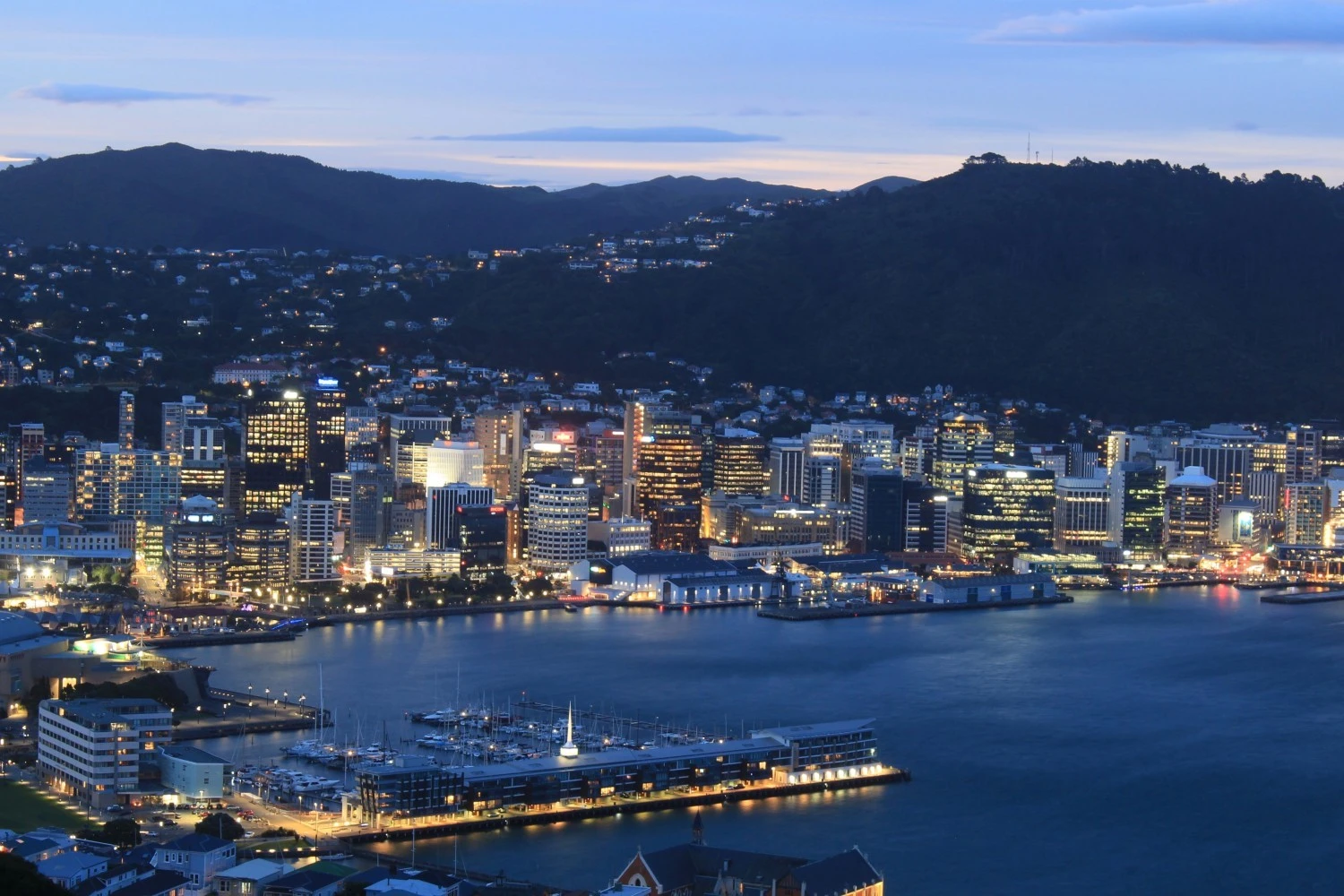 Auckland v Wellington: Which is better