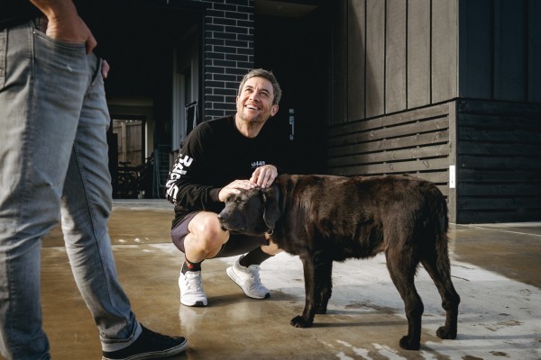 Where to adopt a cat or dog in Christchurch