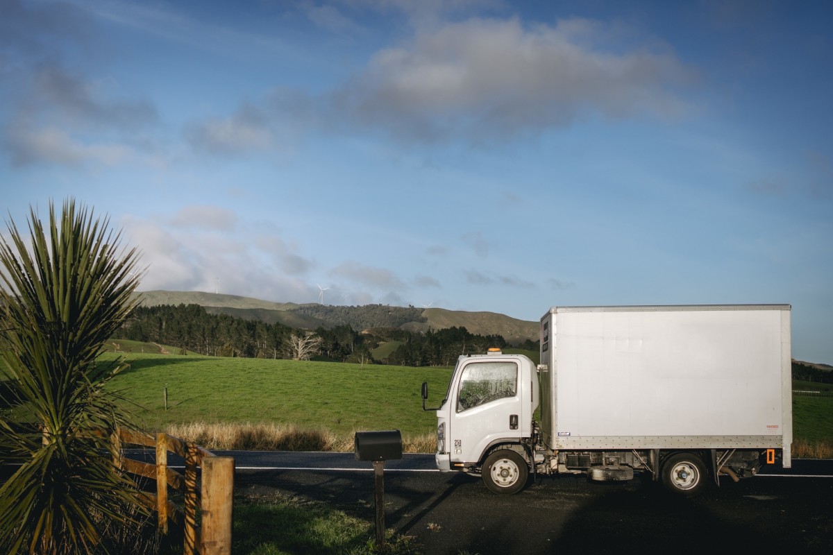 Your guide to eco-friendly moving in New Zealand
