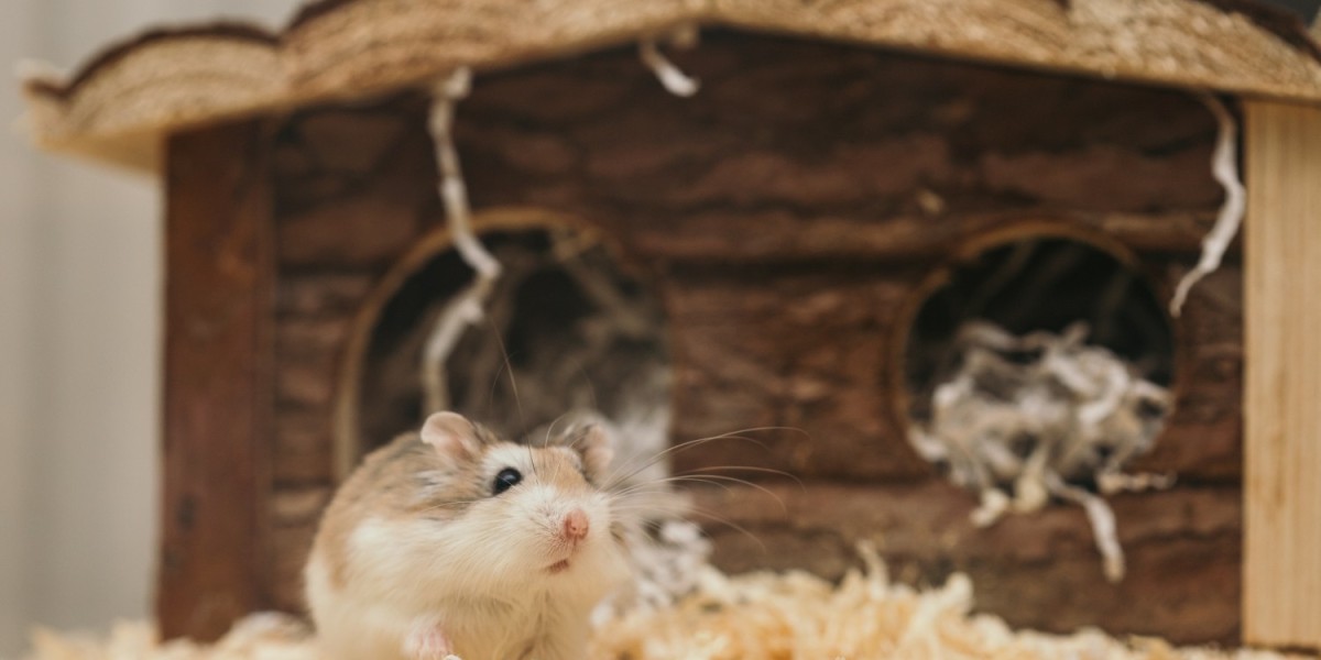 A hamster inside its cage