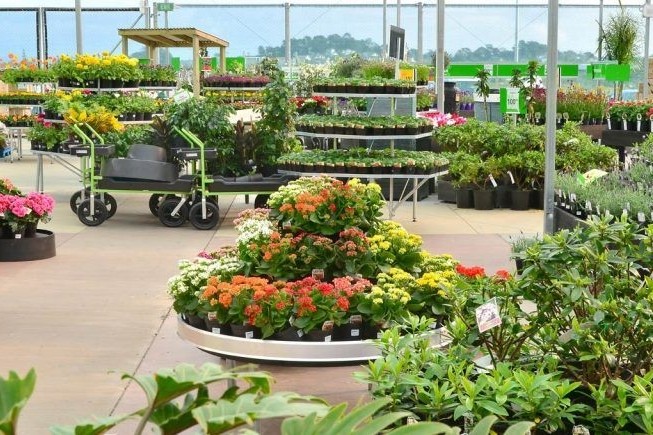 Inside Palmers Garden Centre greenhouse