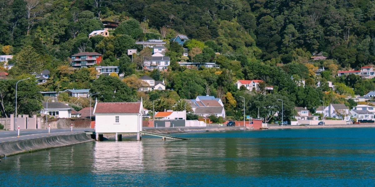 A beachfront neighborhood in New Zealand
