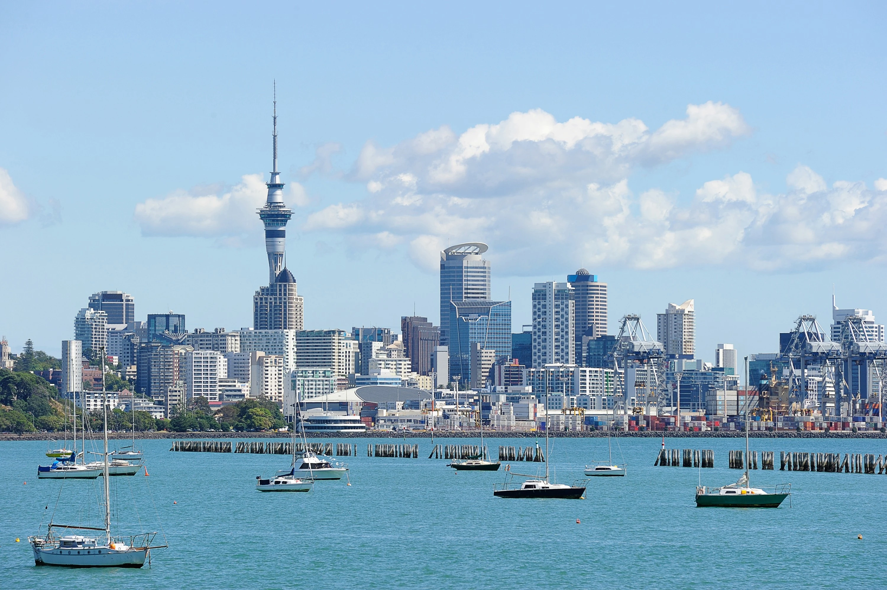 7 Downsides to Consider Before Moving to New Zealand