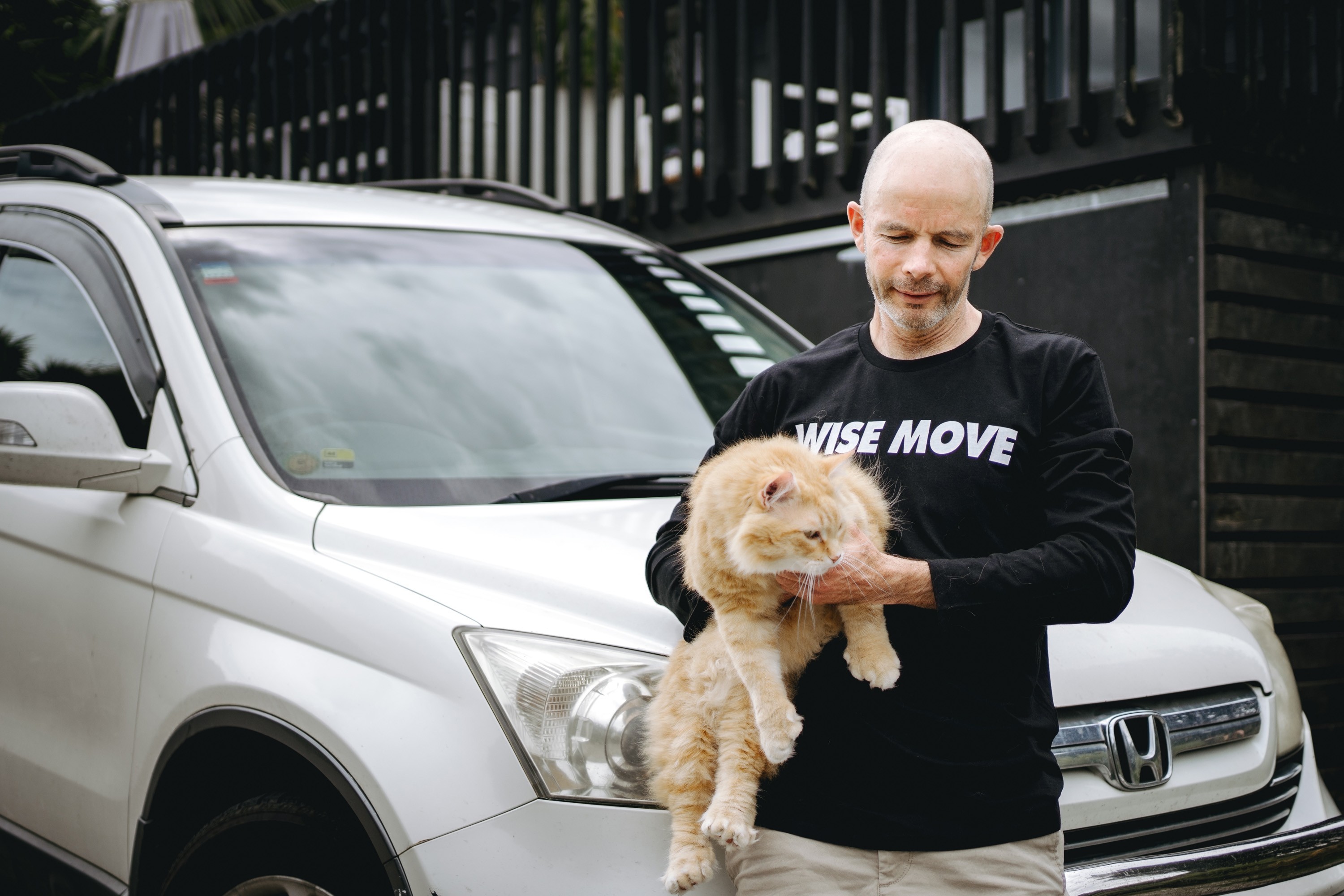 Moving Home with an Anxious Cat with Cystitis Moving Home with an Anxious Cat with Cystitis