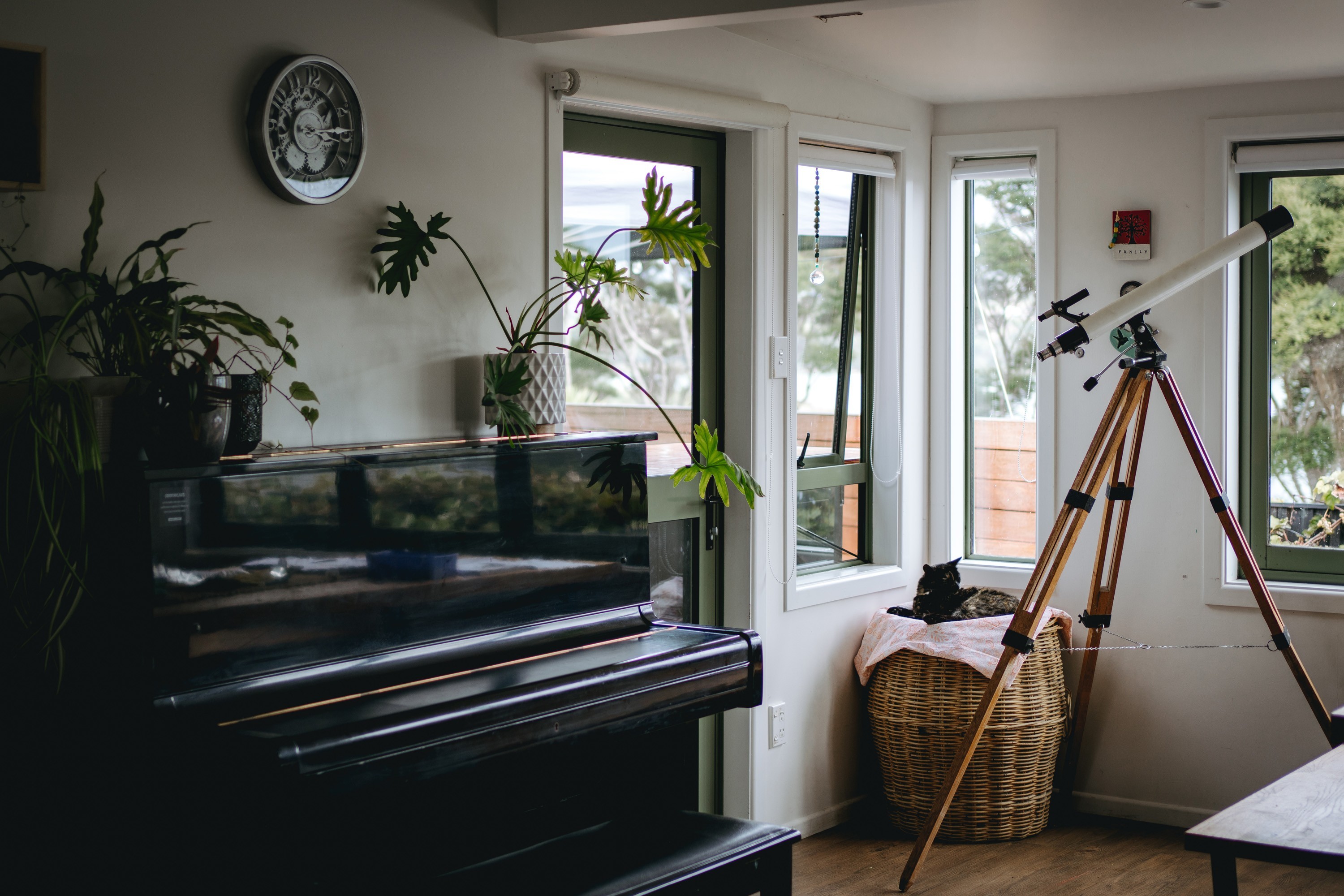 The only guide you’ll really need to move a piano safely in New Zealand