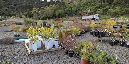 Indoor plants awaiting to be repotted at River Road Nursery