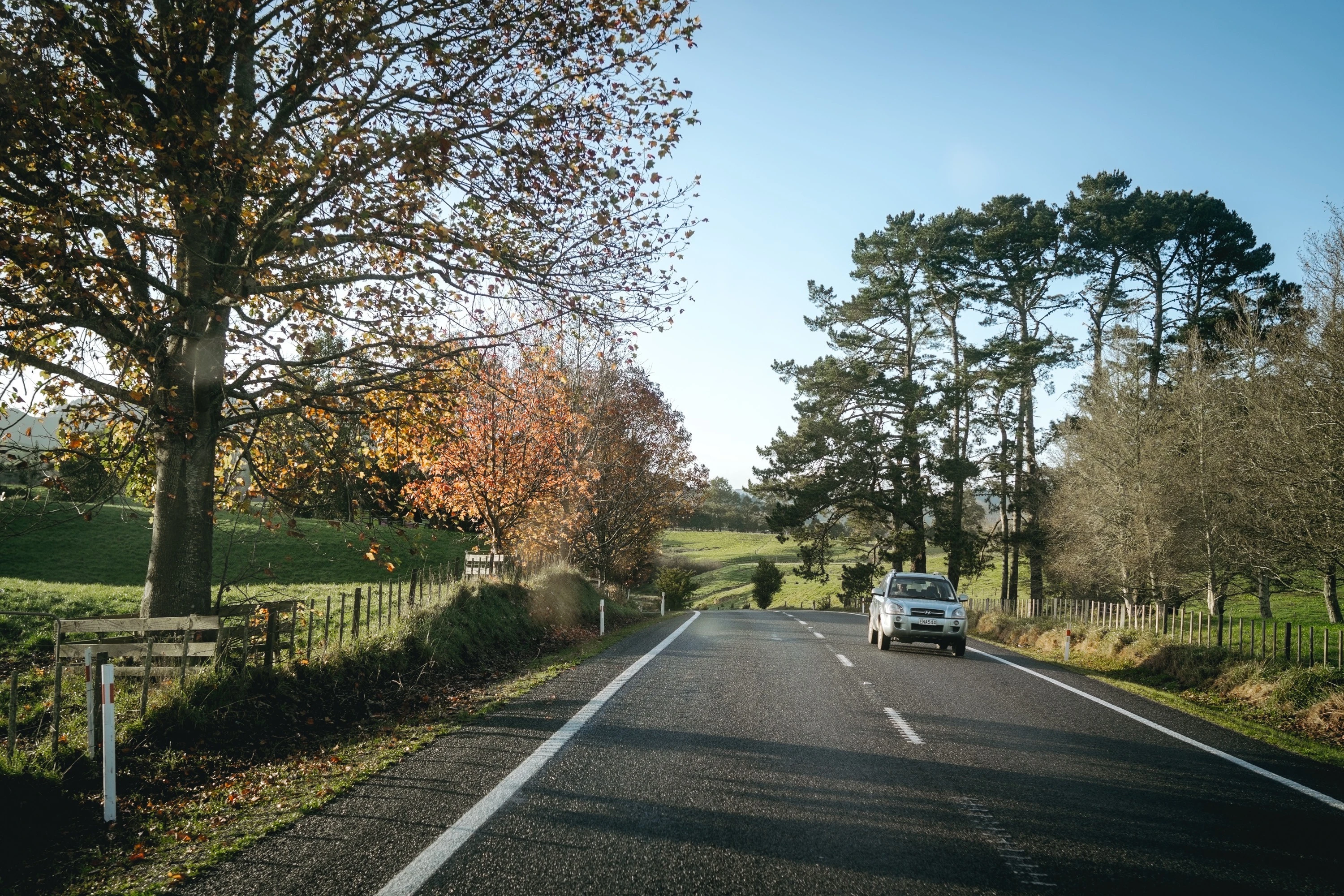 How do I renew my New Zealand driver's licence?