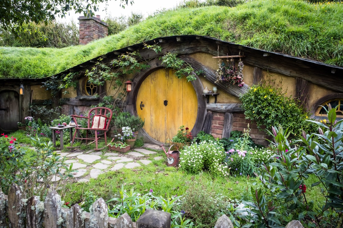 Inside New Zealand's Film Industry: From Local Productions to Global Blockbusters