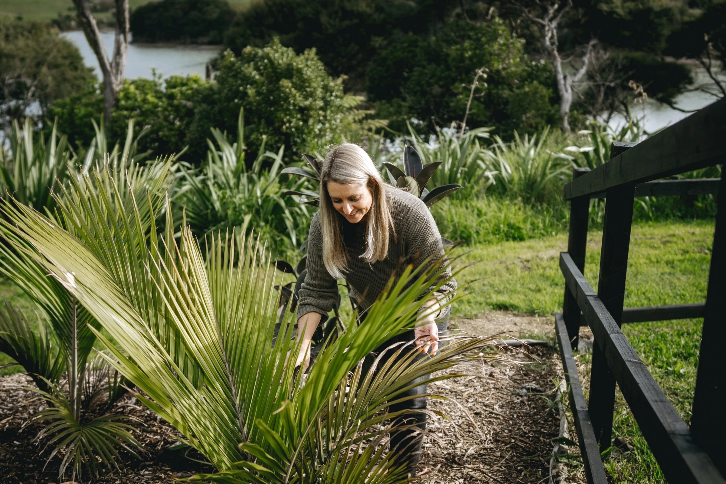 How to join or start a community garden in New Zealand