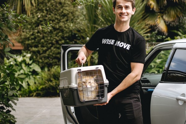 How Can I Make Sure My Pet Is Transported Safely?