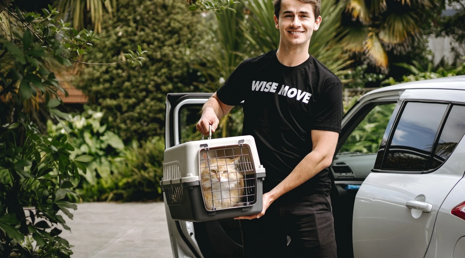 How Can I Make Sure My Pet Is Transported Safely?