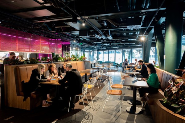 A guide to the best coworking spaces in Auckland, New Zealand