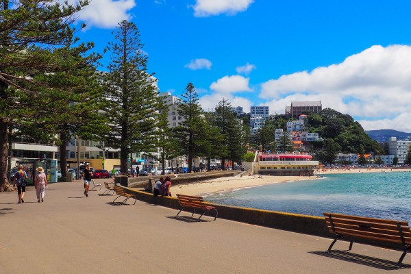 A guide to the best beaches in Wellington