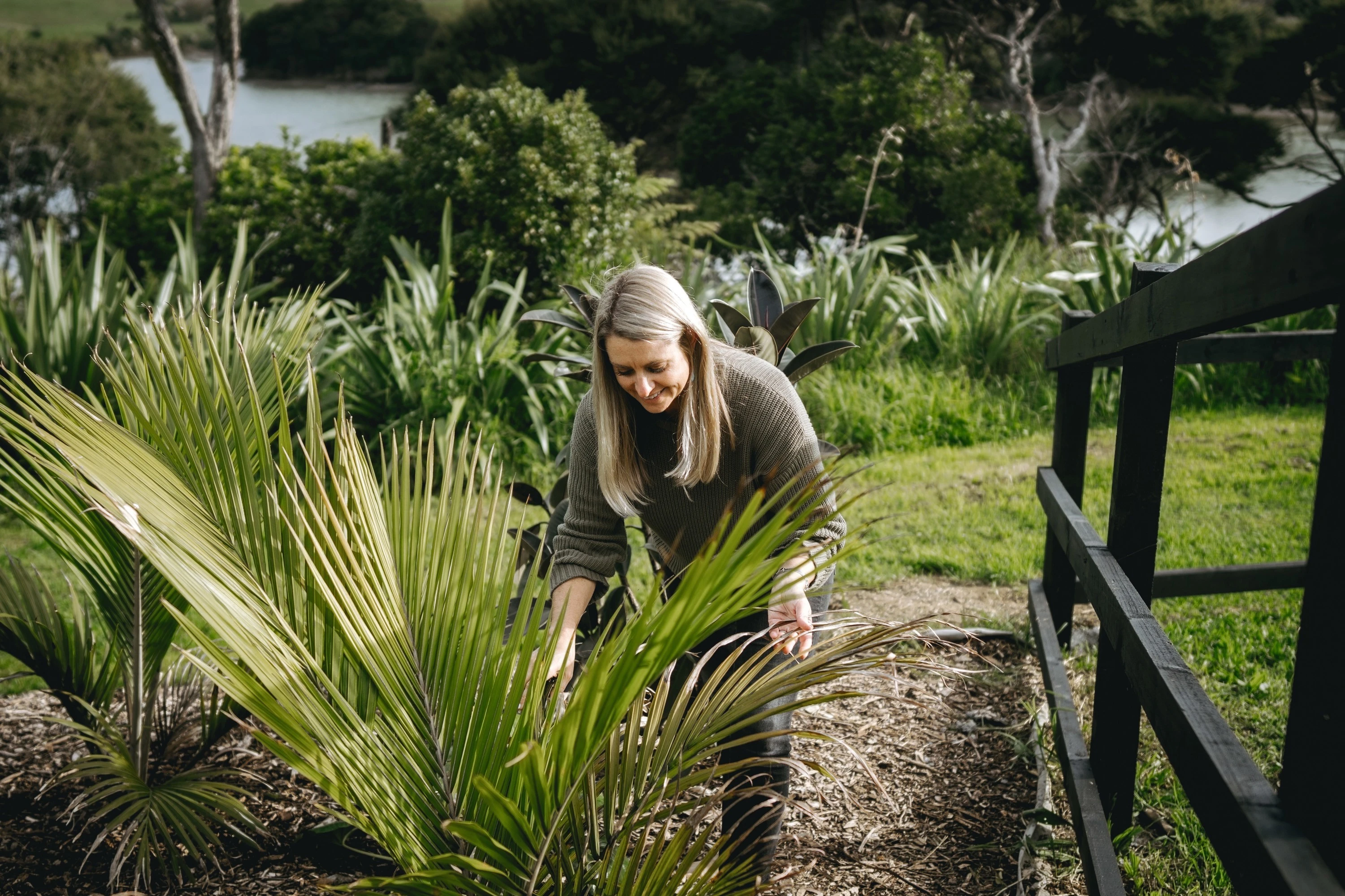 How to compost your food waste at home