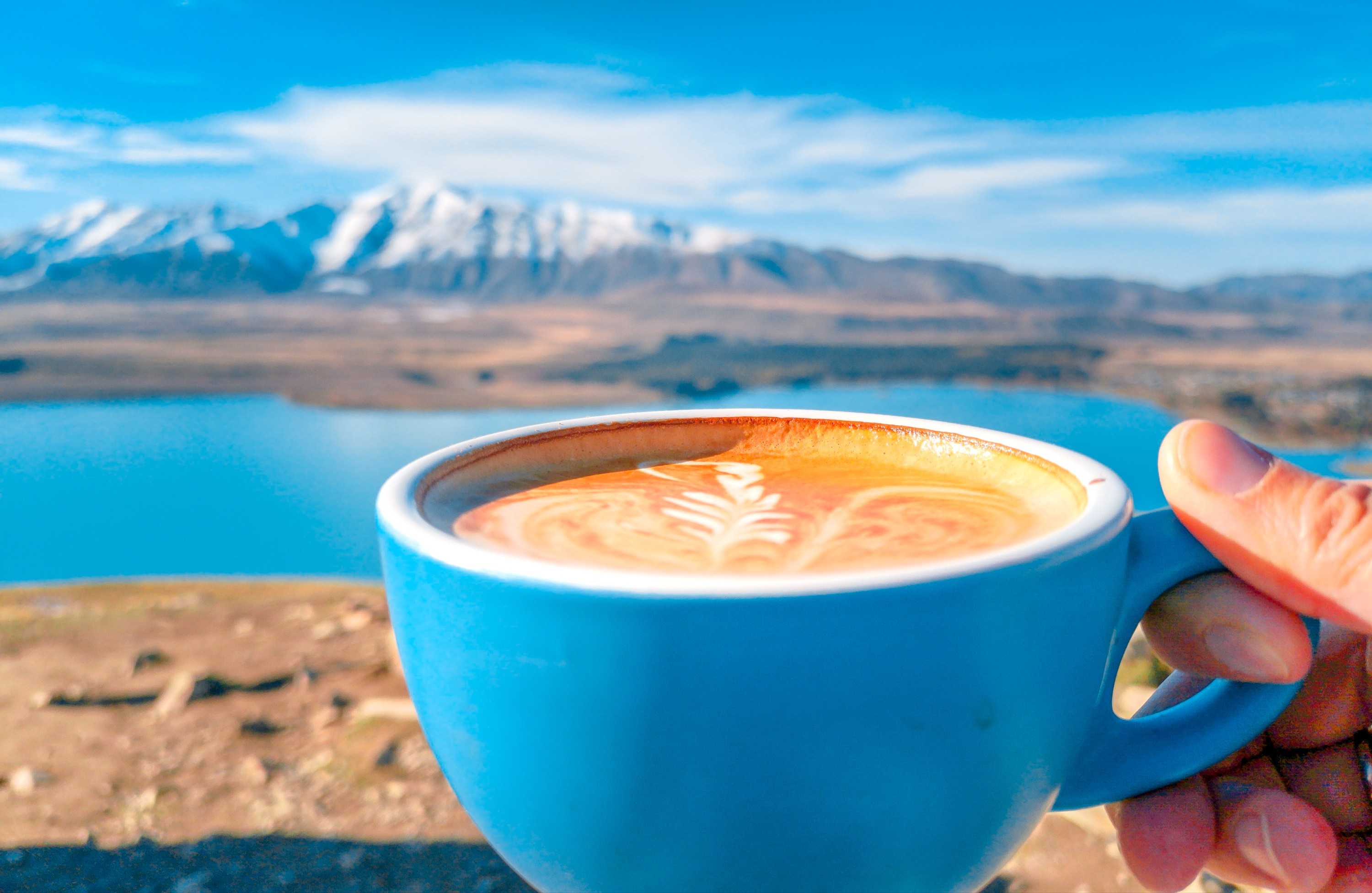New Zealand's Coffee Culture: A Nation of Flat White Lovers New Zealand's Coffee Culture: A Nation of Flat White Lovers