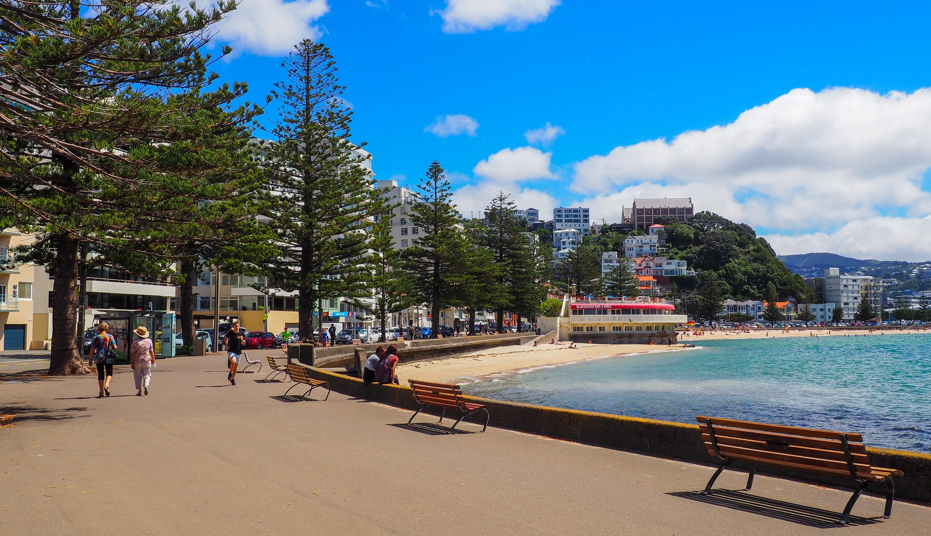 A guide to the best beaches in Wellington