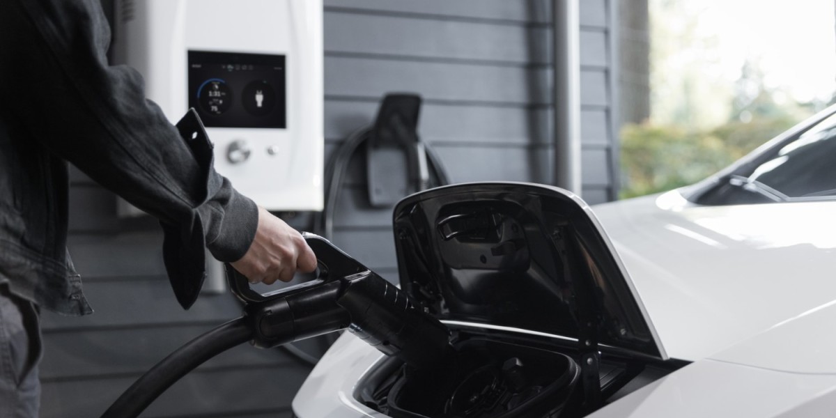 What Types of EVs are Available in the New Zealand market?