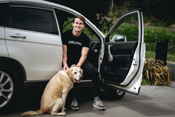 Rehoming your pet in New Zealand: how to prepare your dog