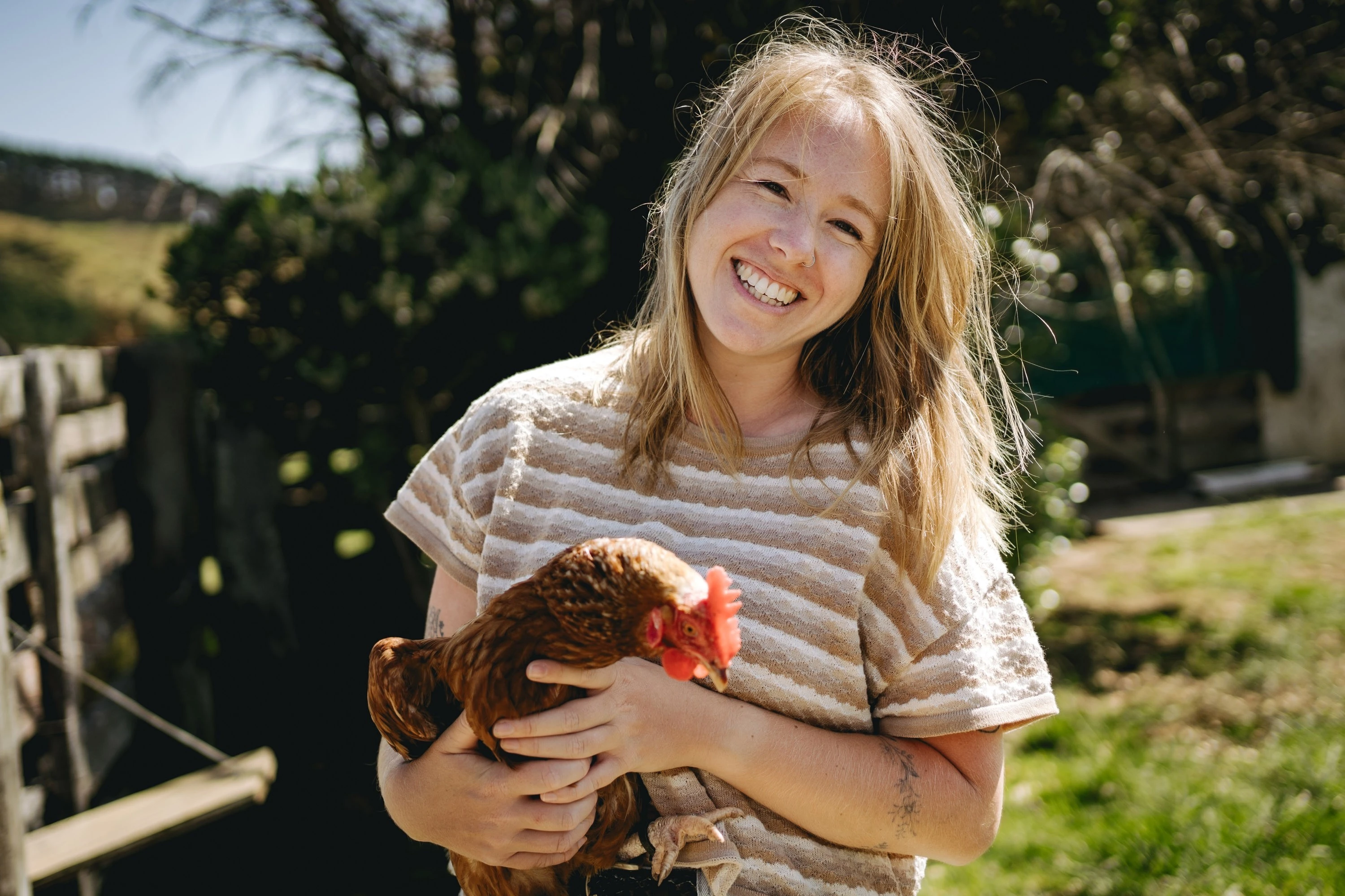 Urban farming: Everything you need to know about keeping chickens in New Zealand
