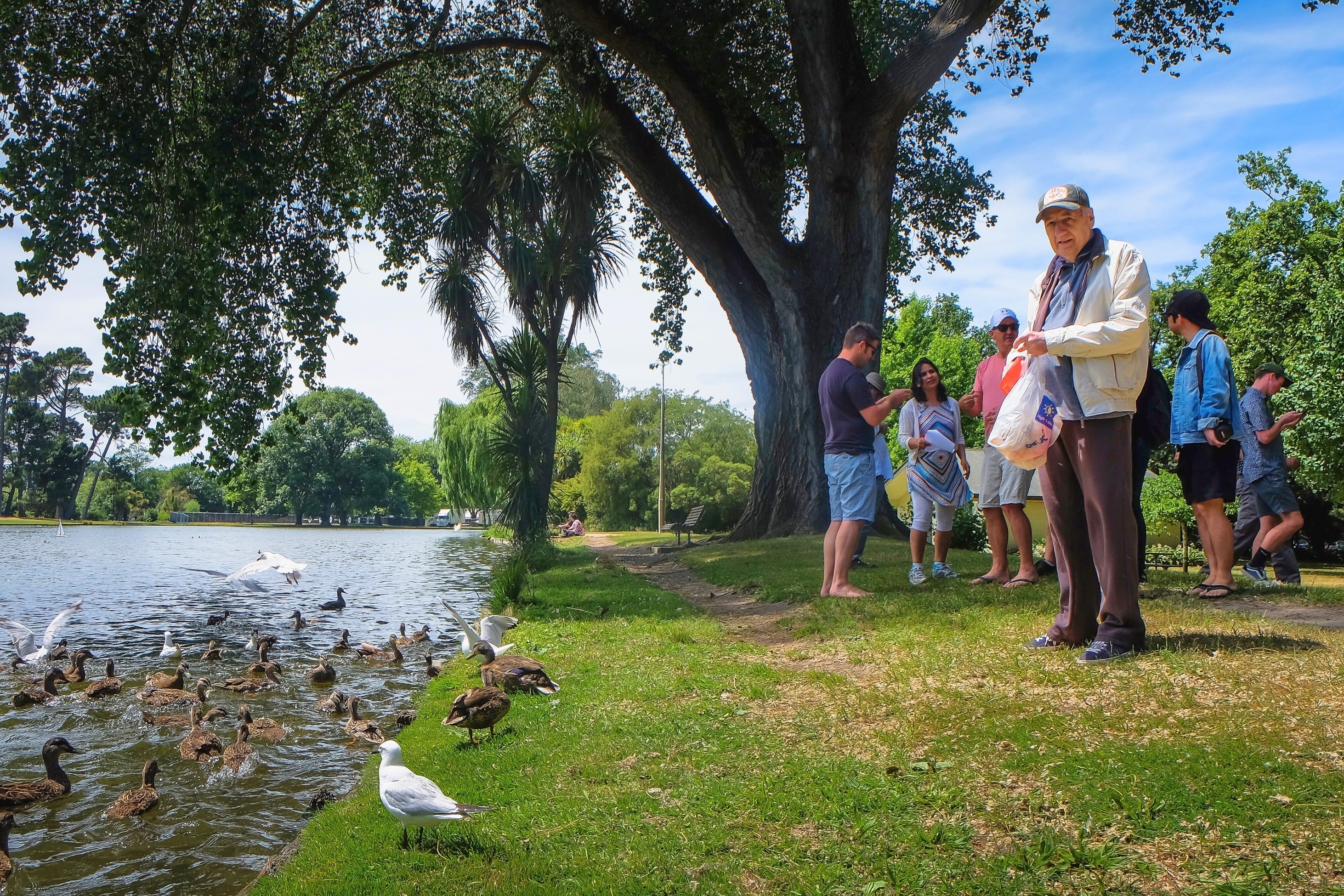 Explore Christchurch's best retirement villages to spend your golden years