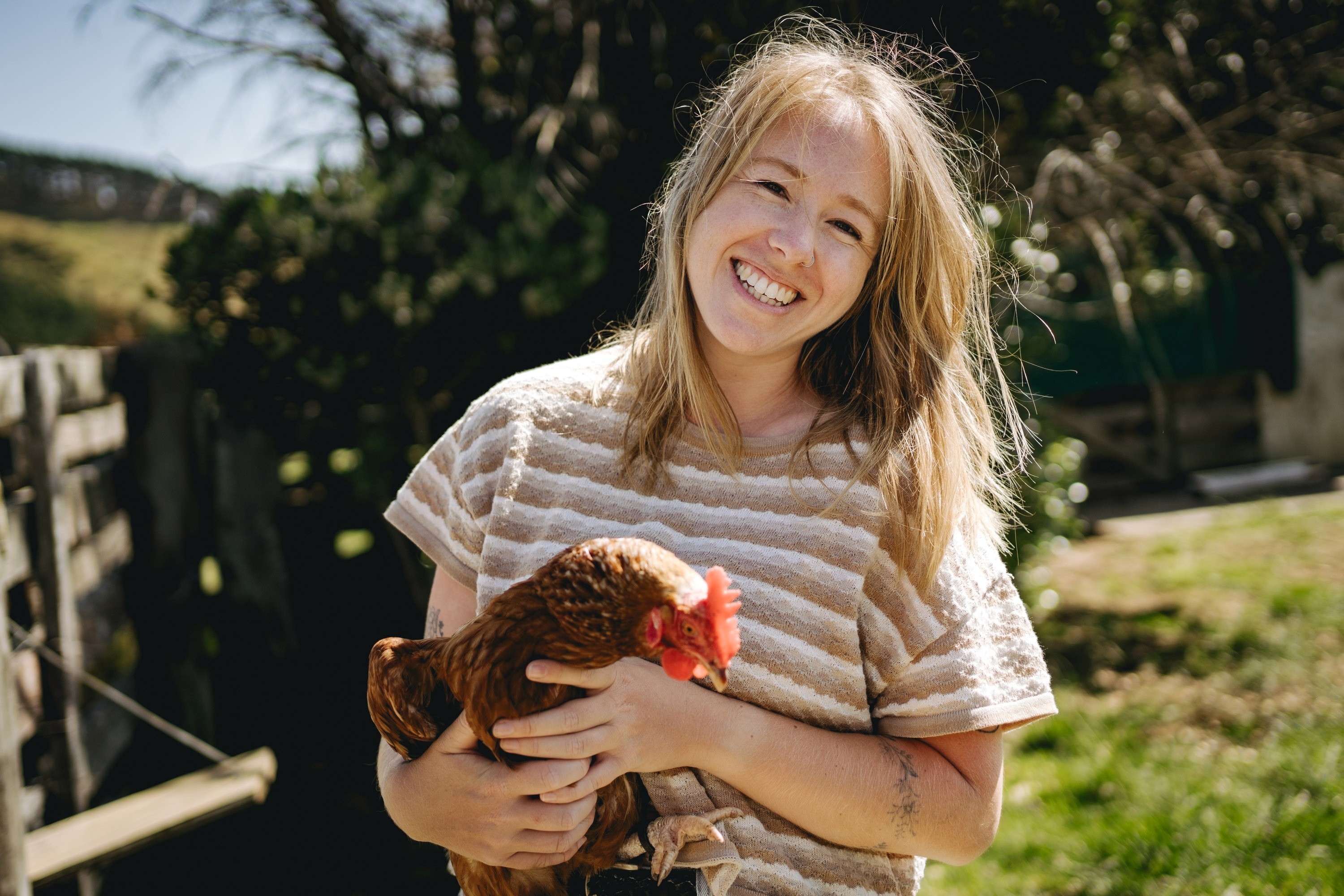 Urban farming: Everything you need to know about keeping chickens in New Zealand Urban farming: Everything you need to know about keeping chickens in New Zealand