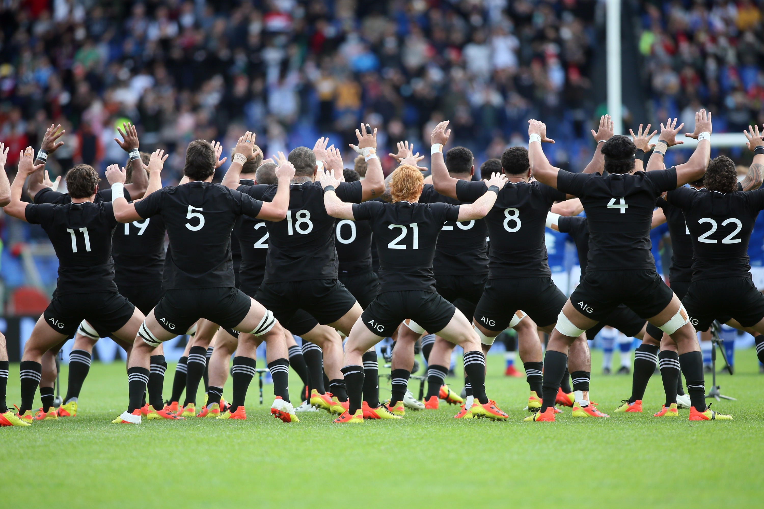 The ultimate guide to New Zealand's national symbols and icons