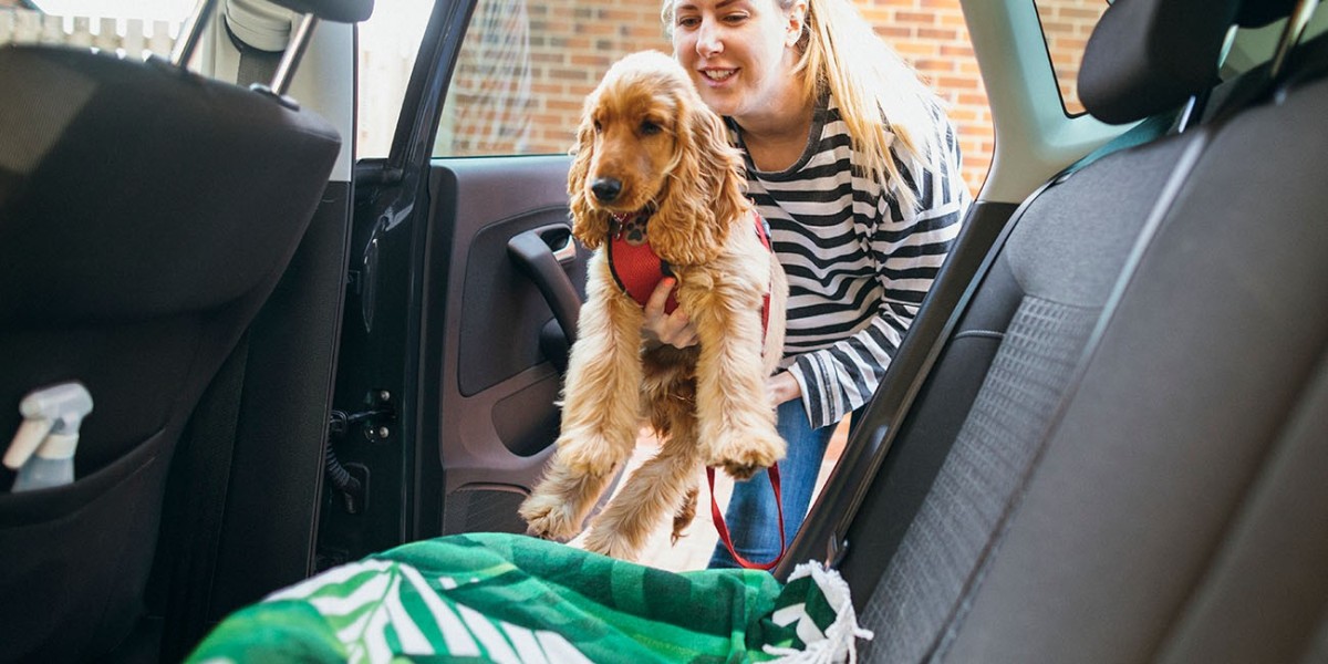 How to Prepare Your Pet for Transport