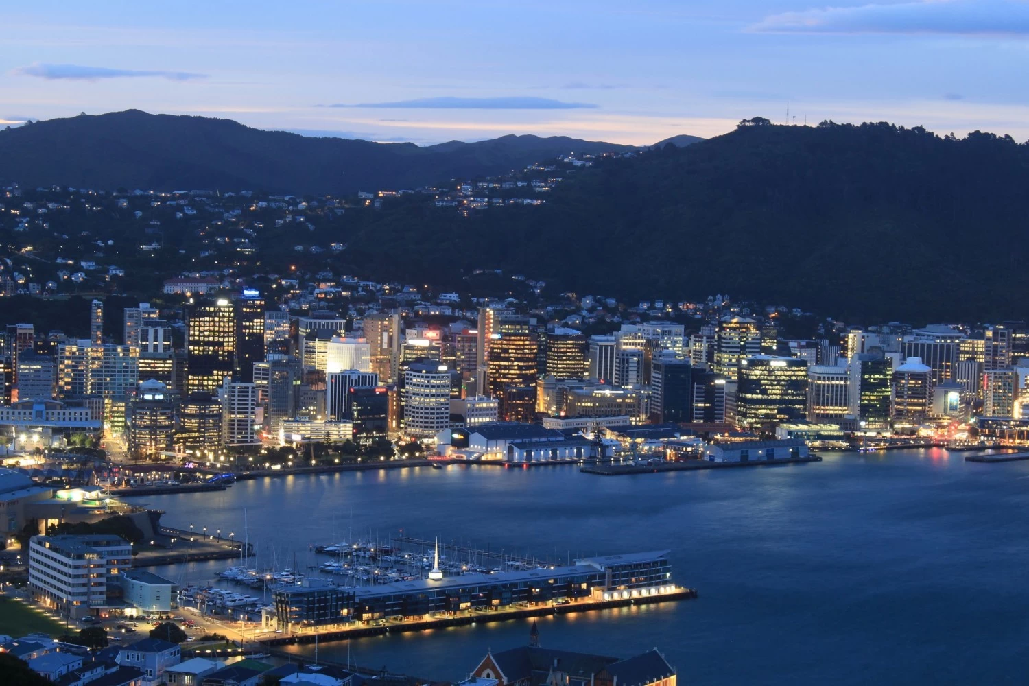 Auckland V Wellington: Which Is Better