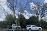 Mover image