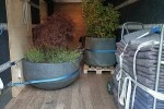 Mover image