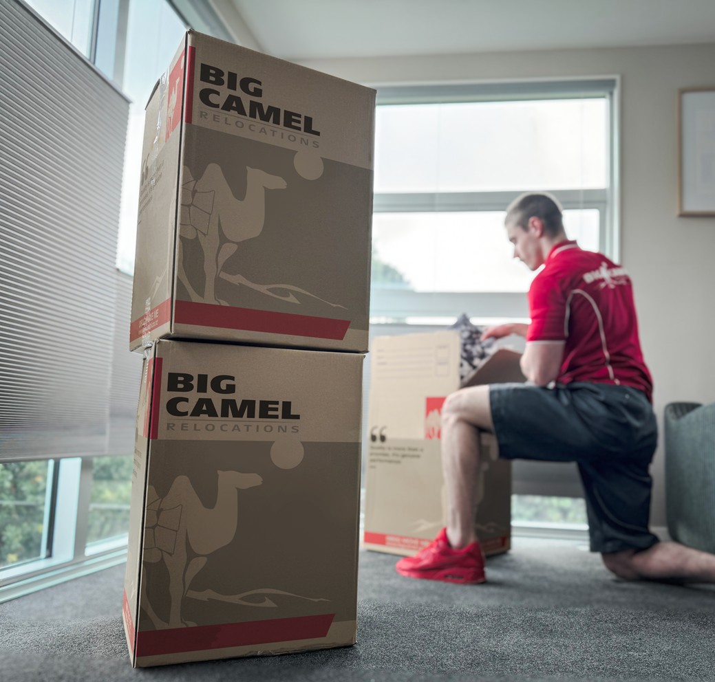 Big Camel Moving & Storage | Book Now - Wise Move