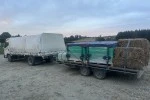 Mover image