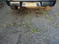 Ford Courier ute