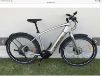 Electric bike