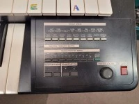 Yamaha Electone HC-2 Keyboard – Organ **HOSPICE TARANAKI** piano