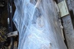Vehicle transmission on pallet