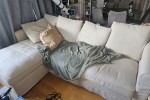 2 bedroom house move