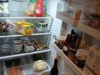 Fisher & Paykel Fridge Freezer 1550 tall x 635 wide