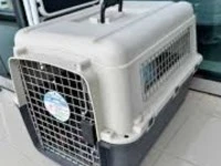 Animal empty crate large