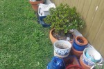 2 bedroom house move