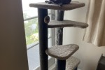 Cat Tree