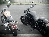 Motorcycle Harley davidson 2008 sportster