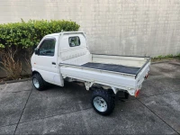 Suzuki Carry - Mini Ute