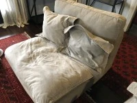 6 piece modular lounge suite