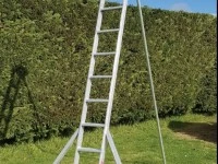 Ladder