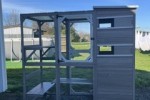 Catio