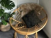 Beautiful papasan chair