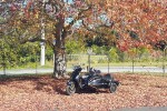Motorcycle Vespa GTS300cc