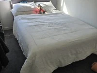 4+ bedroom house move