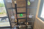 Double bed base, Double bed mattress, Desk, Big bird cage, Drawers, Sh...